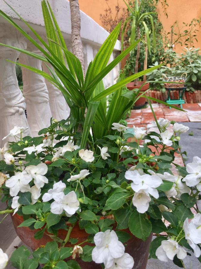 Residenza Di Prestigio In Riva Al Lago Marone Loft Dış mekan fotoğraf