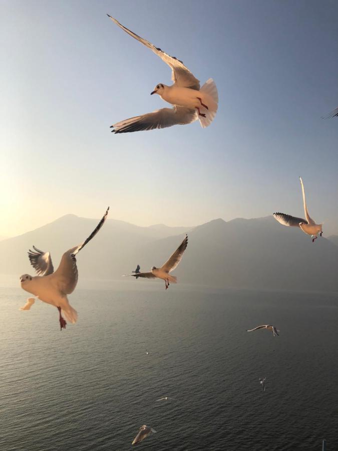 Residenza Di Prestigio In Riva Al Lago Marone Loft Dış mekan fotoğraf